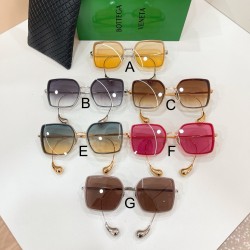 보테가베네타 Bottega Veneta BV2033LA 58口17-145