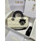 디올 Dior Small Lady D-Joy Bag White&Black 22cm