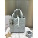 디올 Dior Small Dior Toujours Vertical Tote Bag Light blue 16cm